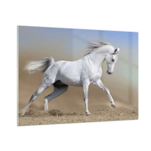 Obraz na skle - Najkrajšia arabská rozprávka - 100x70 cm