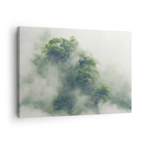 Obraz na plátne - Zelené stromy v hustej hmle na prirodzenom pozadí - 70x50cm - Zahalené hmlou - Moderná nástenná dekorácia do obývacej izby a spálne ARTTOR
