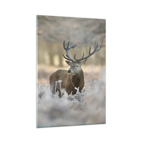 Obraz na skle - Svieže ráno - 80x120 cm