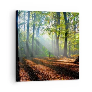 Obraz na plátne - Svetlá a tiene - 50x50 cm