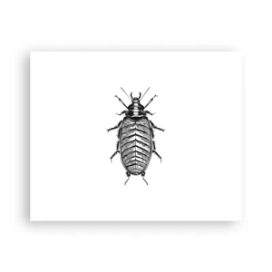 Plagát - Vzorový exemplár! - 50x40 cm