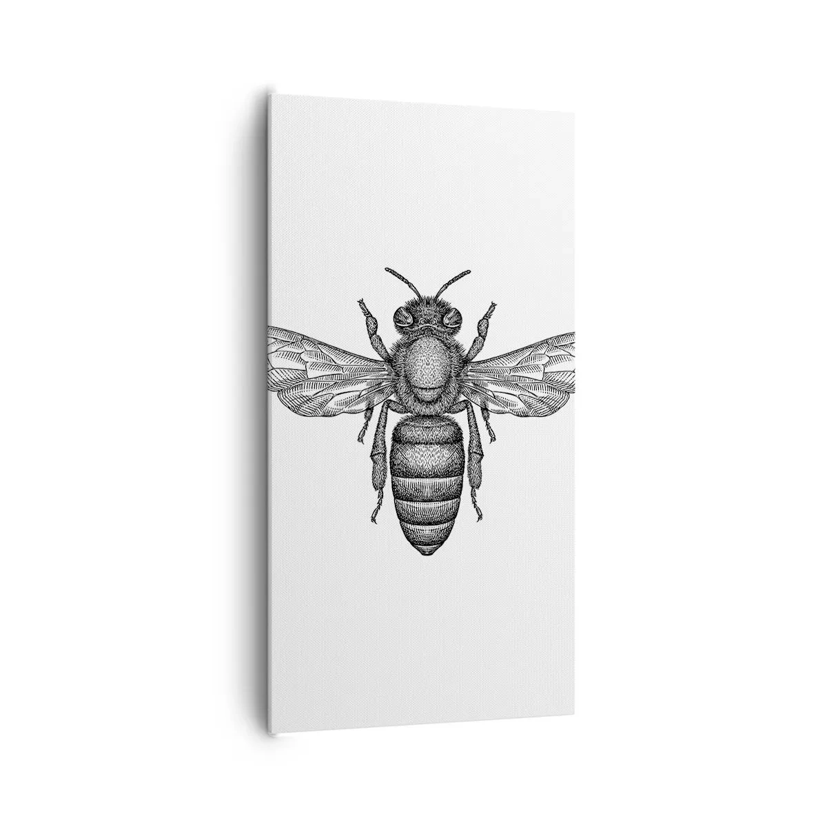 Obraz na plátne - Hmyzí portrét - 65x120 cm