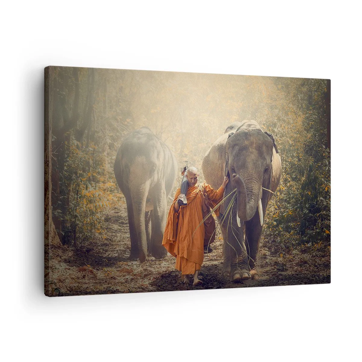 Obraz na plátne - Mních v oranžovom rúchu vedie slona v lese. - 70x50cm - Plné pochopenie - Moderná nástenná dekorácia do obývacej izby a spálne ARTTOR