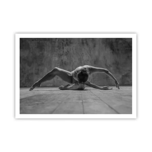 Plagát - Nájdená symetria - 100x70 cm