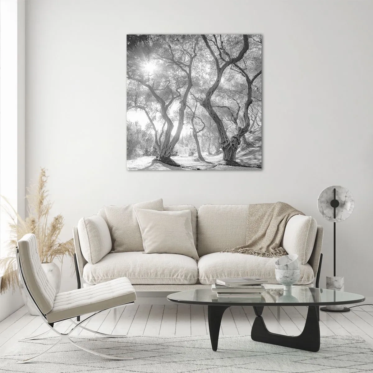 Obraz na skle - V olivovom háji - 60x60 cm