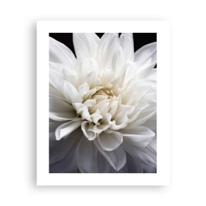 Plagát - Ráno s nevestou - 40x50 cm