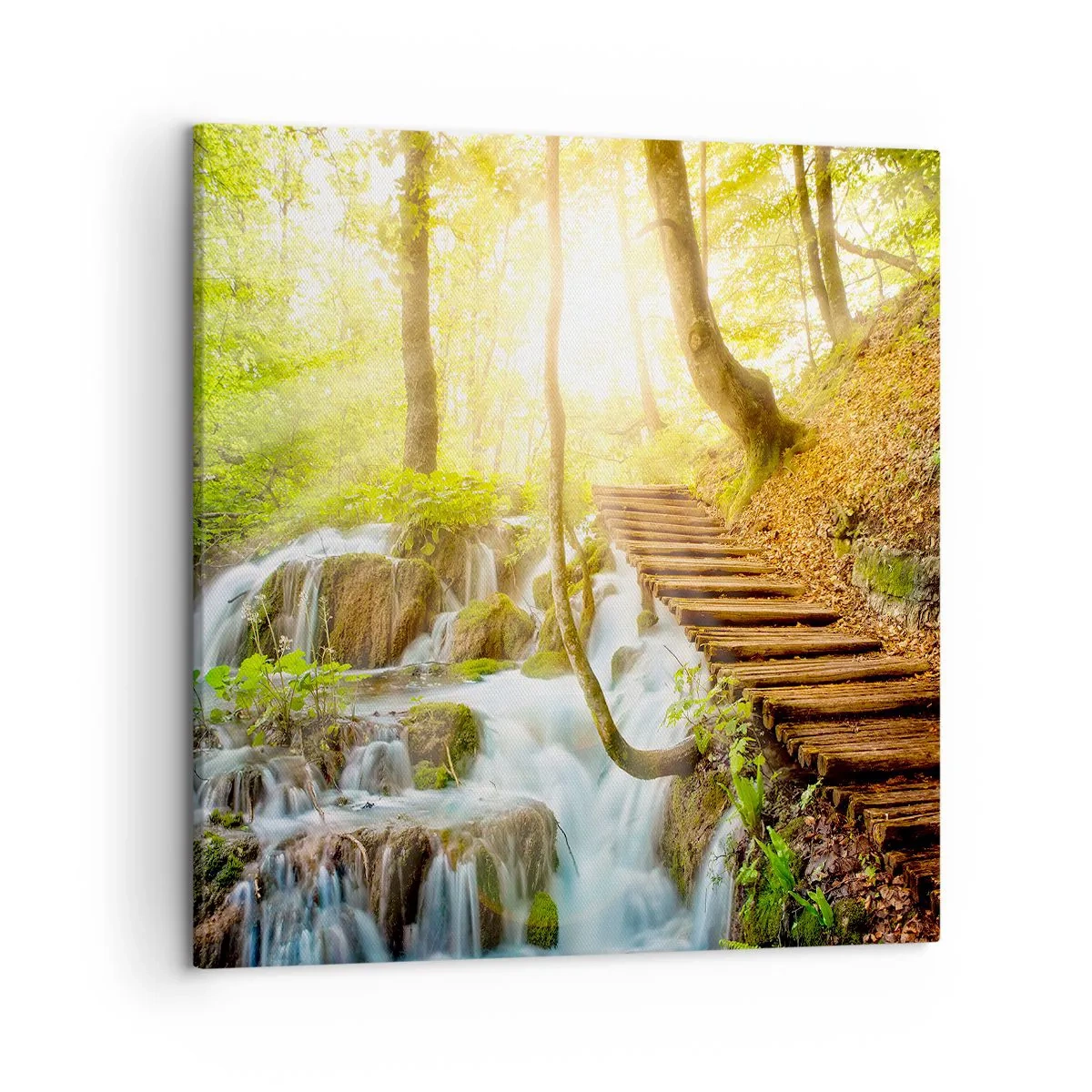 Obraz na plátne - Vytúžený chlad - 50x50 cm