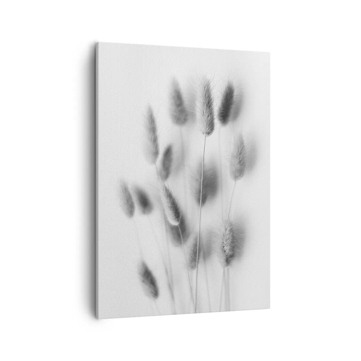 Obraz na plátne - Našuchorená tráva - 50x70 cm