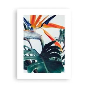 Plagát - Vtáker - 30x40 cm