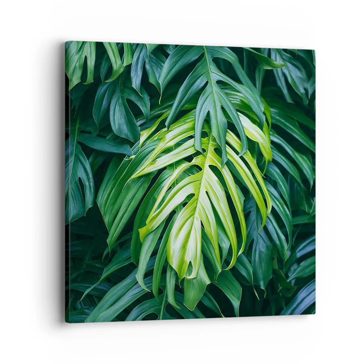 Obraz na plátne - Ponoriť sa do sviežosti - 40x40 cm