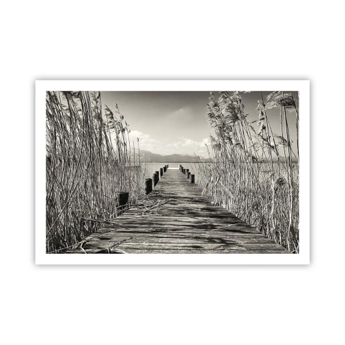 Plagát - V ústraní tráv - 91x61 cm