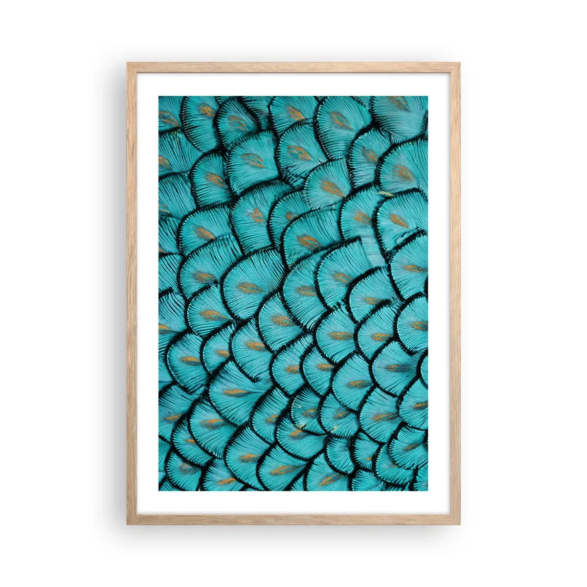 Plagát v ráme zo svetlého duba - Veľká slávnosť peria - 50x70 cm