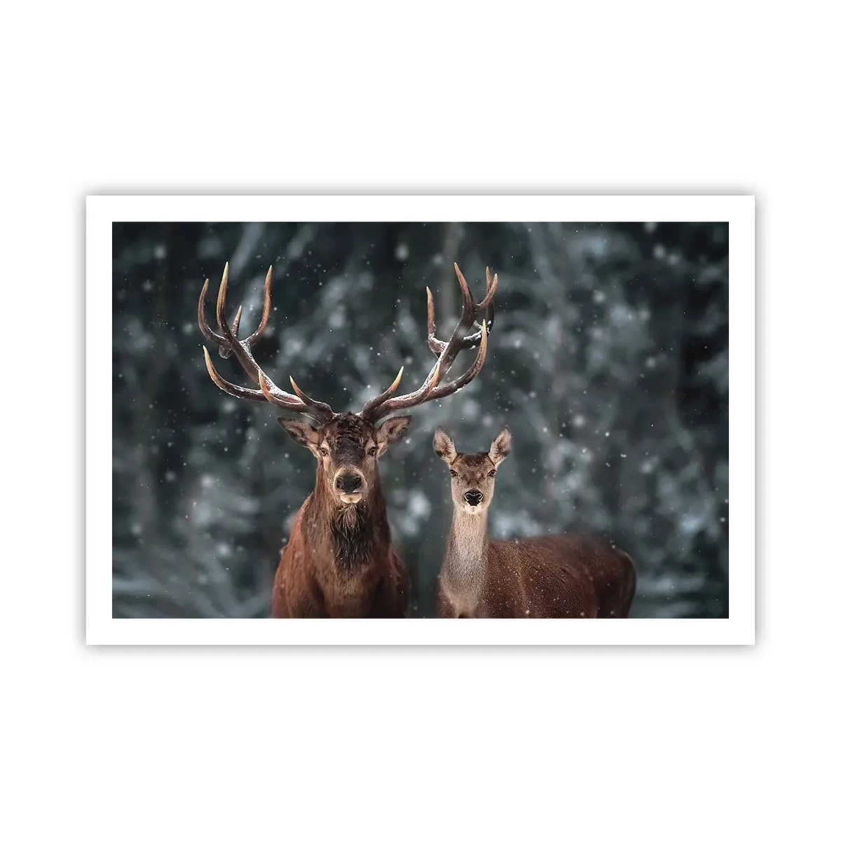 Plagát - Pán lesa so svojou ženou - 91x61 cm