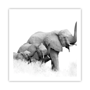 Plagát - Jedna, dve, tri - 60x60 cm