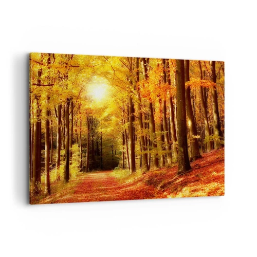 Obraz na plátne - Zlatá jeseň na lesnej ceste - 100x70 cm