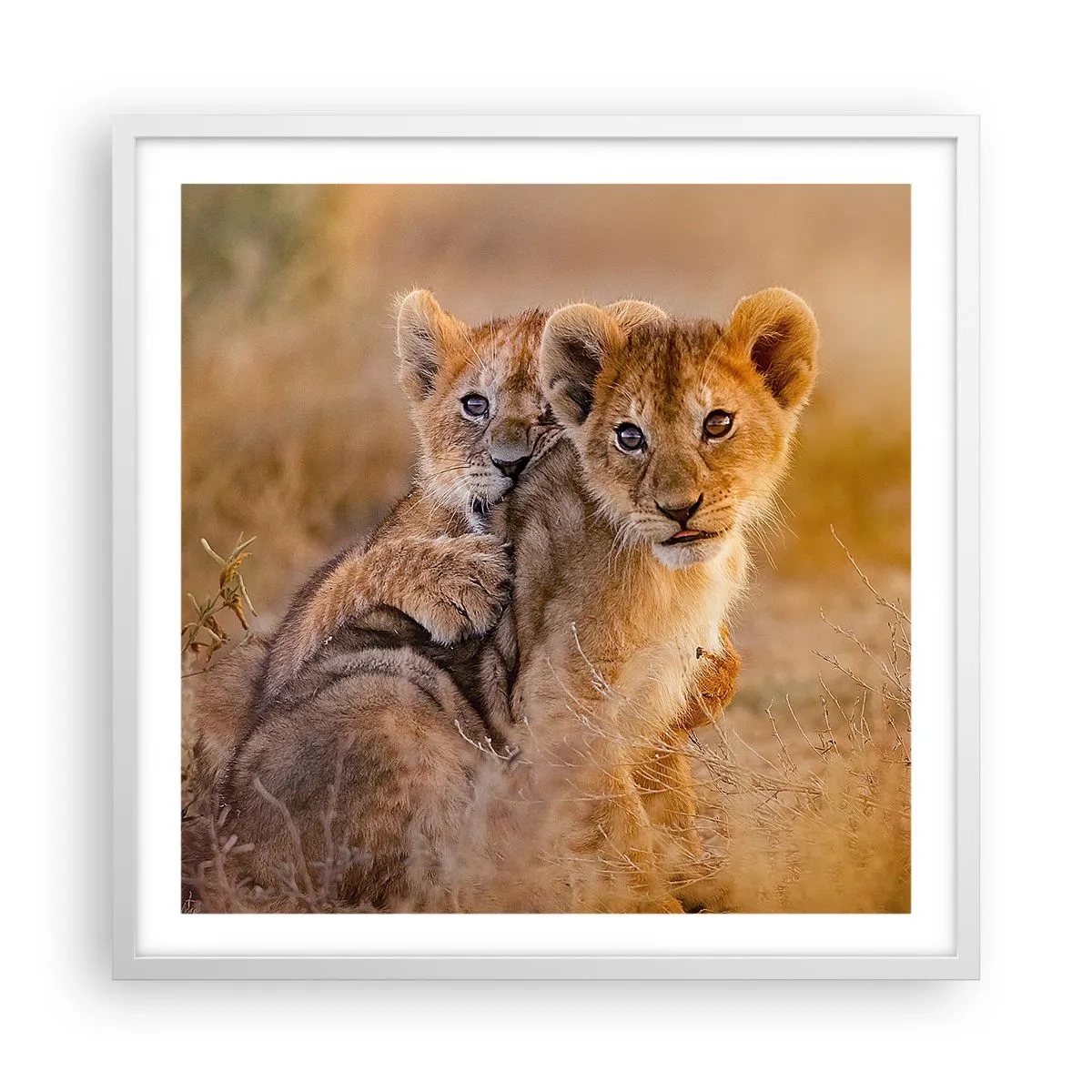 Plagát v bielom ráme - Nevyrušovať! Hrajme sa - 60x60 cm