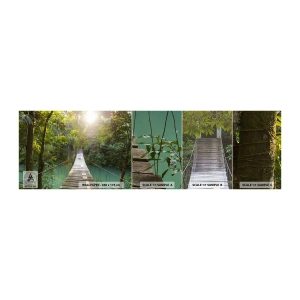 Vzorka Fototapeta Standard Eco - Nad azúrovou vodou do azúrového lesa - Krajina, Džungle, Drevený most - 100x30 cm