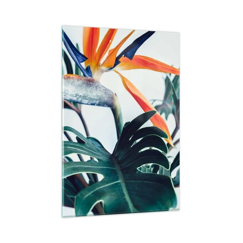 Obraz na skle - Vtáker - 80x120 cm