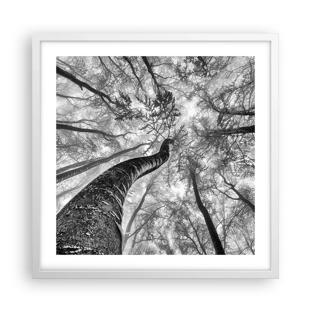 Plagát v bielom ráme - Závod ku svetlu - 50x50 cm