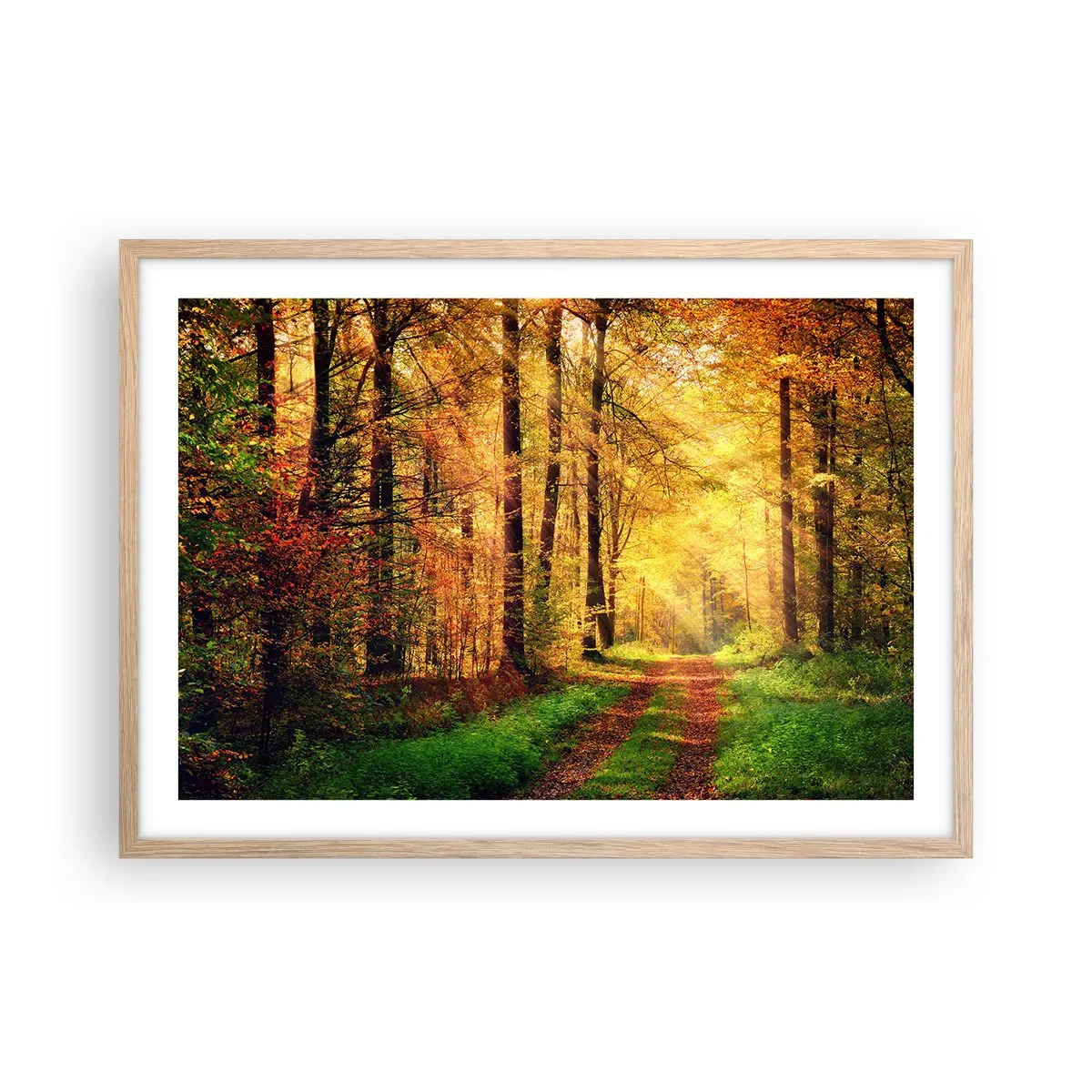 Plagát v ráme zo svetlého duba - Lesno-zlaté ticho - 70x50 cm