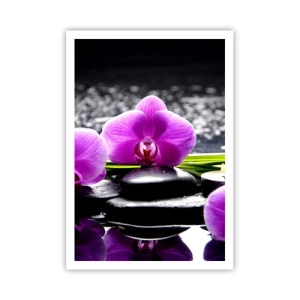 Plagát - Utopiť v tichu a pokoji - 70x100 cm