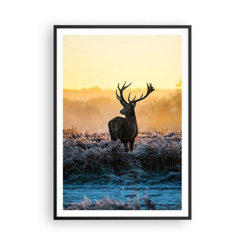 Plagát v čiernom ráme - Korunovaný na svojom panstve - 70x100 cm