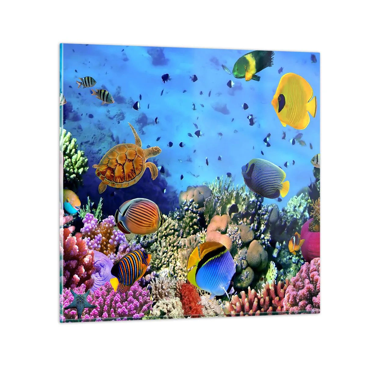 Obraz na skle - Čo vieme o živote… - 40x40 cm