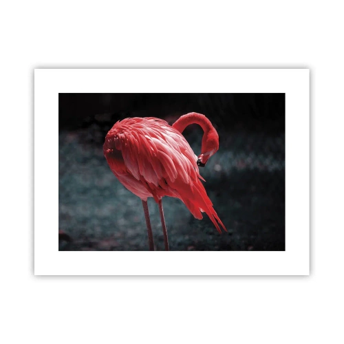 Plagát - Karmínová báseň prírody - 40x30 cm