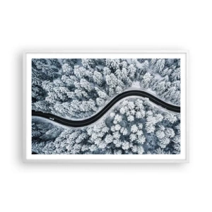 Plagát v bielom ráme - Zimným lesom - 91x61 cm