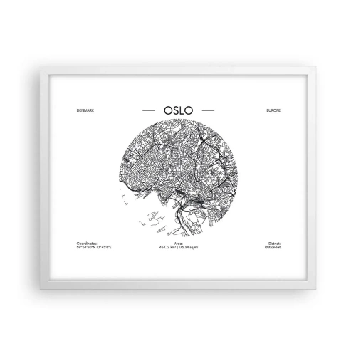 Plagát v bielom ráme - Anatómia Osla - 50x40 cm