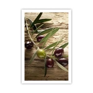 Plagát - Priamo od prírody - 61x91 cm