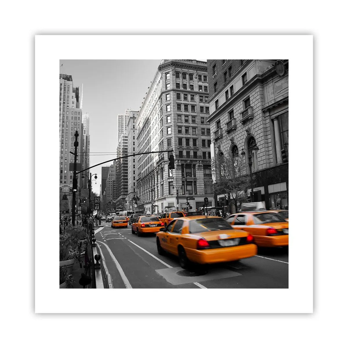 Plagát - Slnko veľkomesta - 40x40 cm