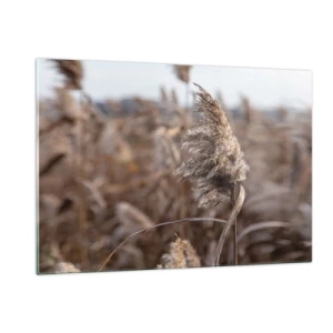 Obraz na skle - Čas odletieť s vetrom - 120x80 cm