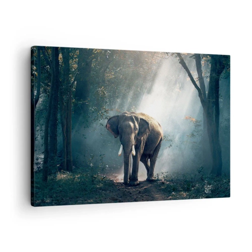 Obraz na plátne - Slon v lesnom svetle - 70x50cm - Pokojná prechádzka - Moderná nástenná dekorácia do obývacej izby a spálne ARTTOR