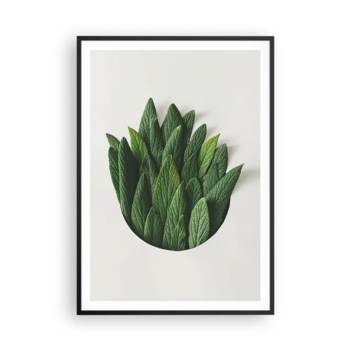 Plagát v čiernom ráme - Neukojiteľná zvedavosť - 70x100 cm