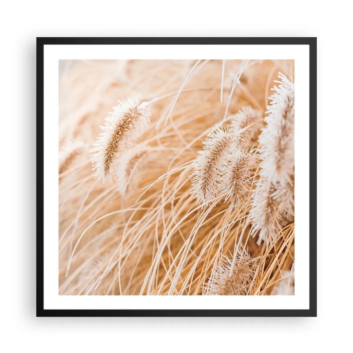 Plagát v čiernom ráme - Zlaté šušťanie tráv - 60x60 cm