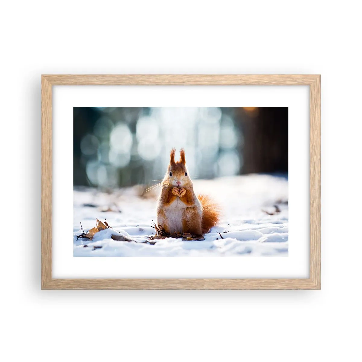 Plagát v ráme zo svetlého duba - Čo sa tak pozeráš? - 40x30 cm