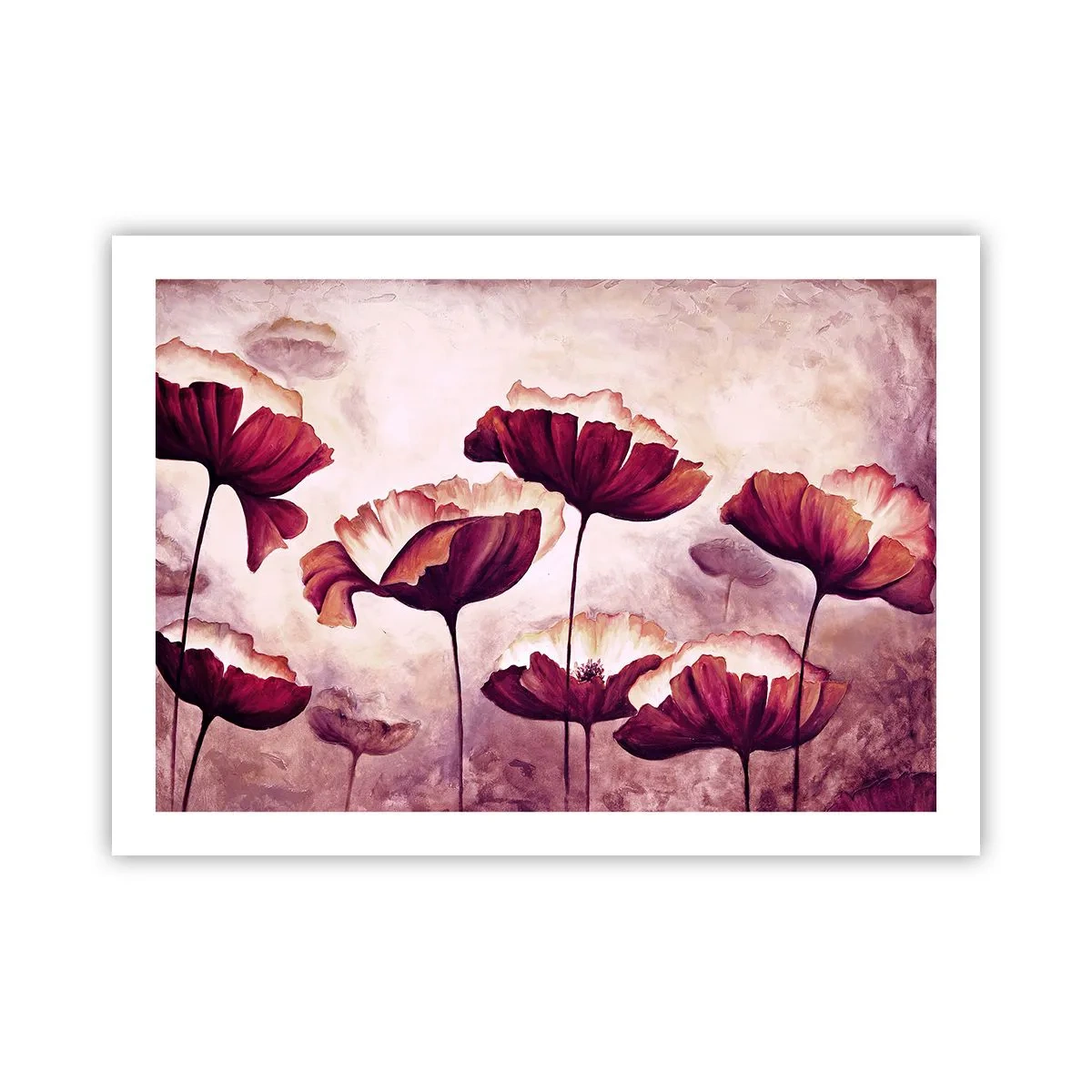 Plagát - Červený a biely plátok - 70x50 cm