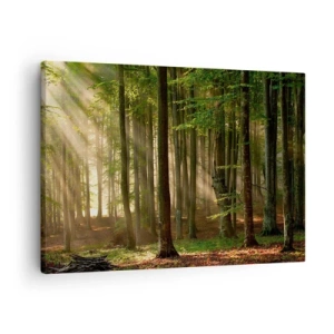 Obraz na plátne - Slnečné lúče prenikajúce cez stromy v lese - 70x50cm - Rozžiarený v jarnom ráne - Moderná nástenná dekorácia do obývacej izby a spálne ARTTOR