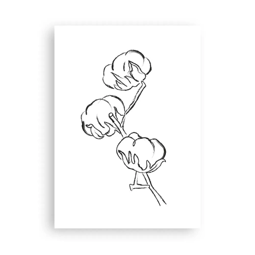 Plagát - Bavlnené páperie - 50x70 cm