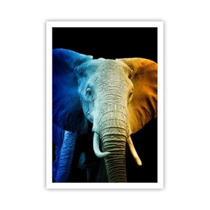 Plagát - Excentrický muž, avšak nie podivín - 70x100 cm