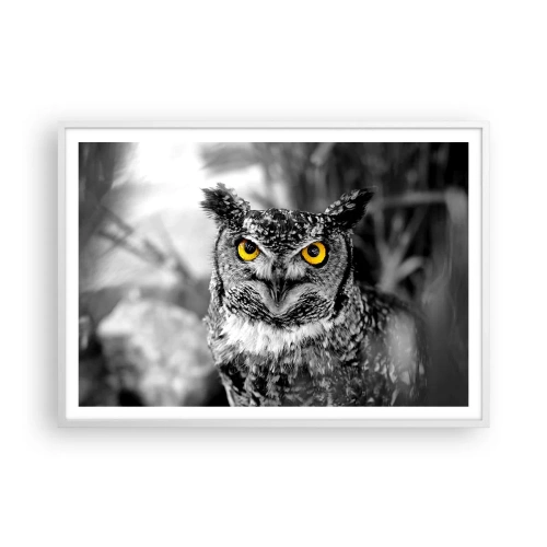 Plagát v bielom ráme - Nič sa neschová - 100x70 cm