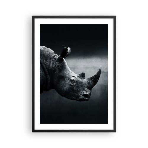 Plagát v čiernom ráme - Čiernobiely portrét nosorožca na tmavom pozadí - 50x70cm - Pravý profil - Moderná nástenná dekorácia do obývacej izby a spálne ARTTOR