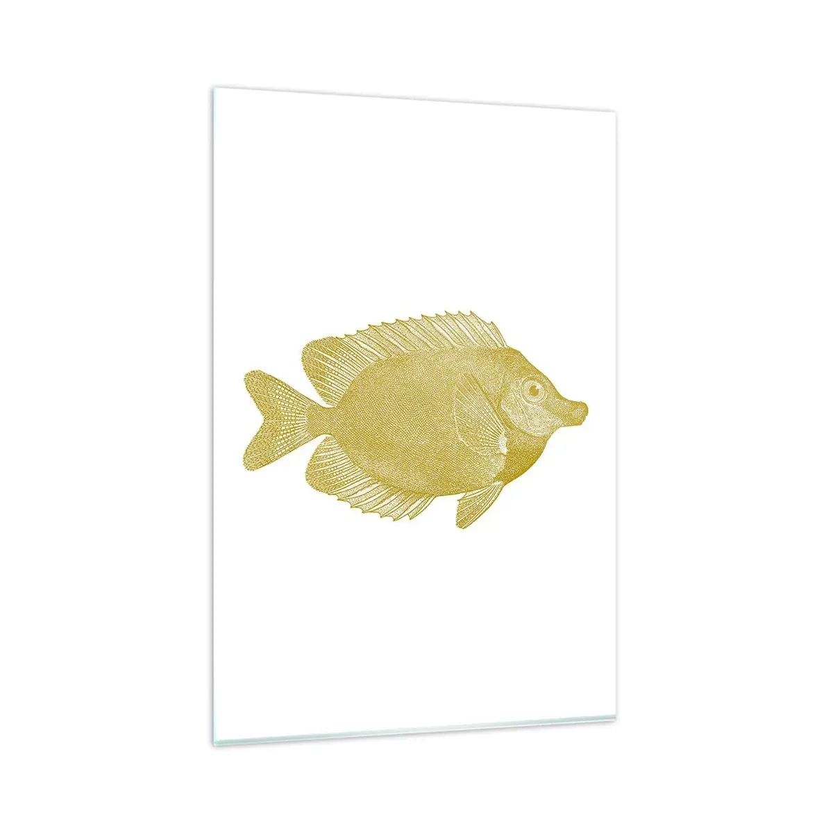 Obraz na skle - Proste ryba - 80x120 cm