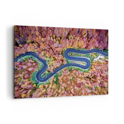 Obraz na plátne - Kľukatá cesta lesom - 120x80 cm