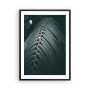 Plagát v čiernom ráme - Palmový list v tmavom tóne s jemným osvetlením - 50x70cm - Presnosť prírody - Moderná nástenná dekorácia do obývacej izby a spálne ARTTOR
