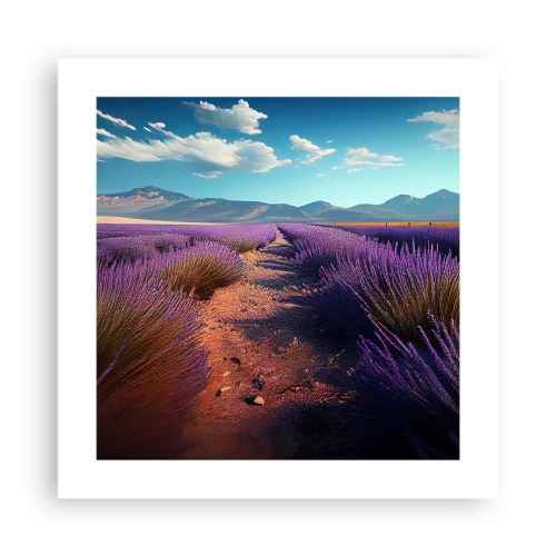 Plagát - Voňavé polia - 40x40 cm