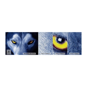 Vzorka fototapety Premium Canvas - Fascinujúci pohľad - Zvieratá, Wolf, Oči - 100x30 cm