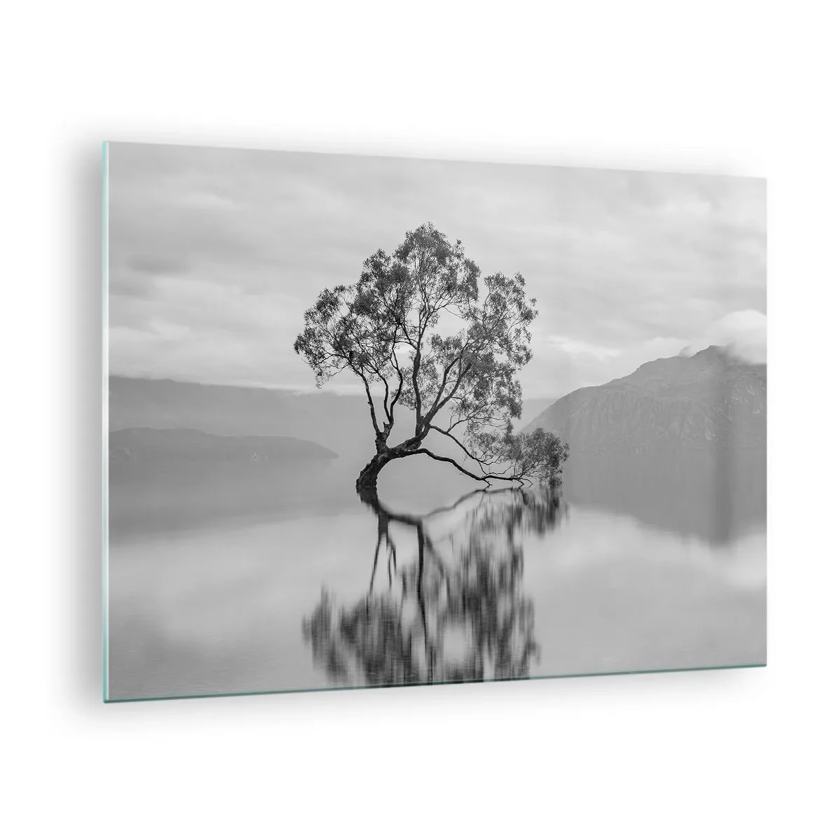 Obraz na skle - Osamelý strom na vode v čiernobielej krajine - 70x50cm - Existuje taká krajina - Moderná nástenná dekorácia do obývacej izby a spálne ARTTOR