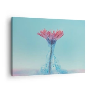 Obraz na plátne - Ružový a modrý kvet v umeleckom aranžmáne na pastelovom pozadí - 70x50cm - V osviežujúcom objatí - Moderná nástenná dekorácia do obývacej izby a spálne ARTTOR